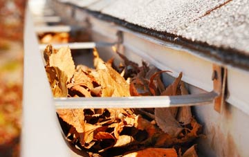 Lower Bredbury gutter cleaning companies